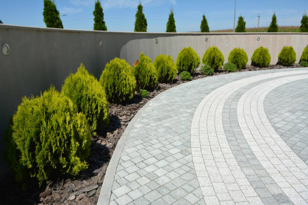 Best Driveway Paving Contractor  in St Henry, OH